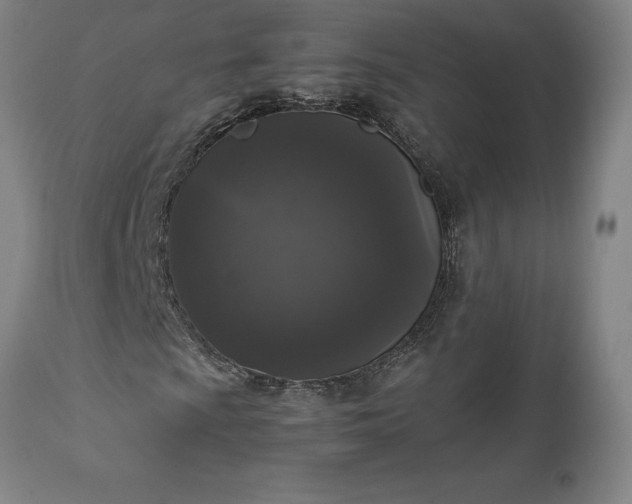 X0000111811009200907301228