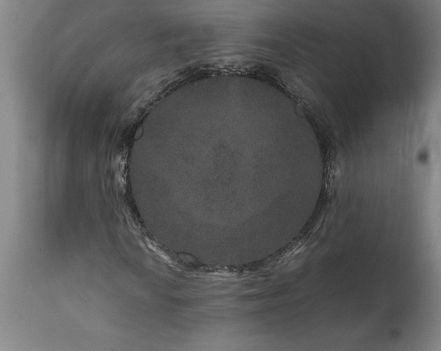 X0000111811010200907301228
