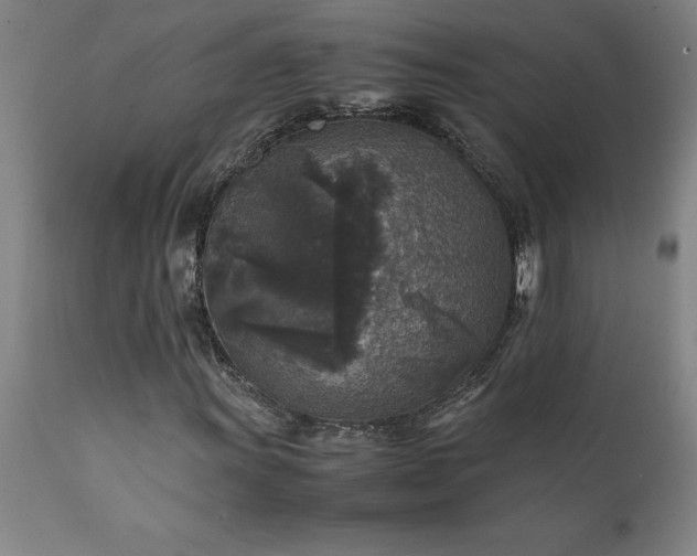 X0000111811011200907301228