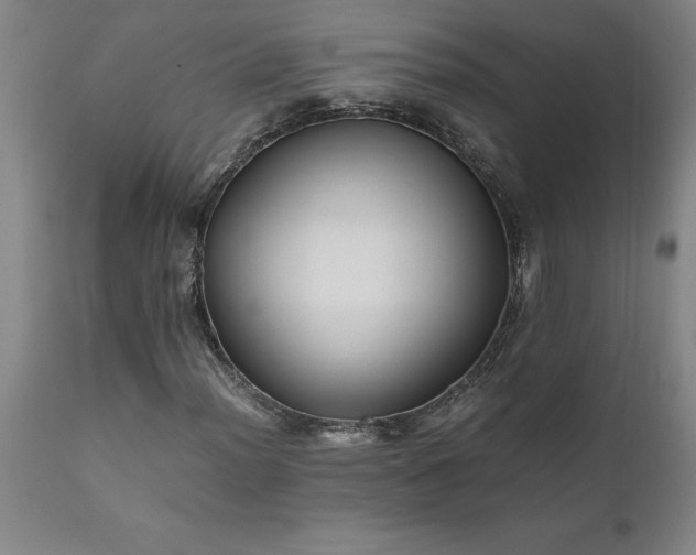 X0000111811012200907301228
