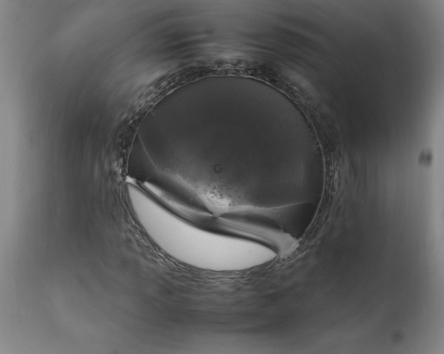 X0000111811013200907301228