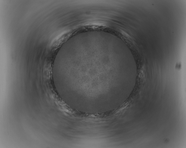 X0000111811014200907301228