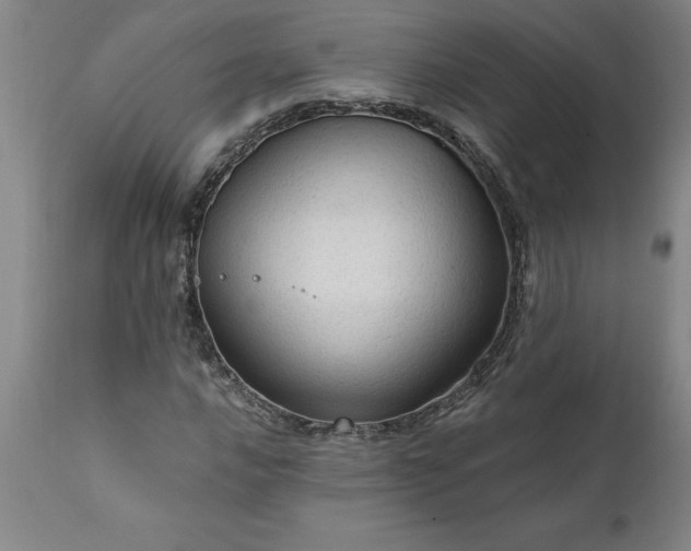 X0000111811016200907301228
