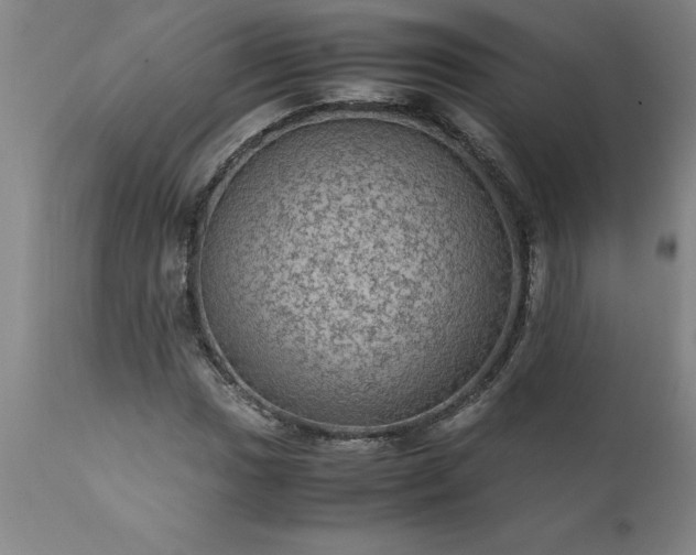 X0000111811017200907301228