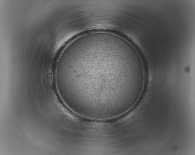 X0000111811018200907301228