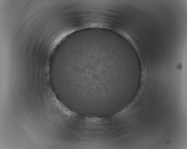 X0000111811019200907301228