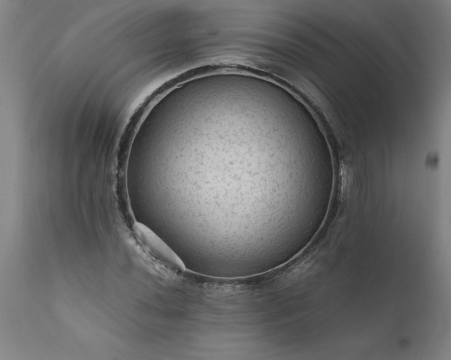 X0000111811020200907301228