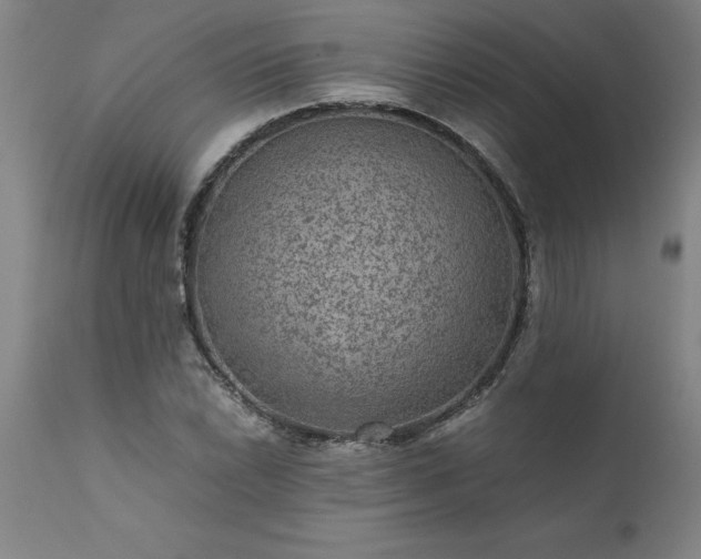 X0000111811022200907301228