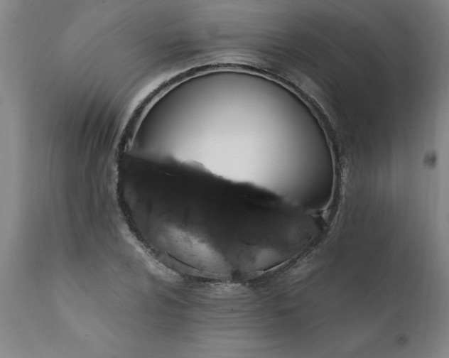 X0000111811024200907301228