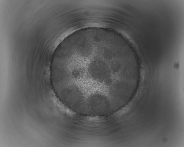 X0000111811025200907301228