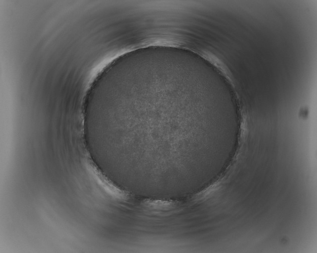 X0000111811027200907301228