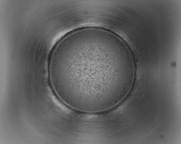 X0000111811030200907301228