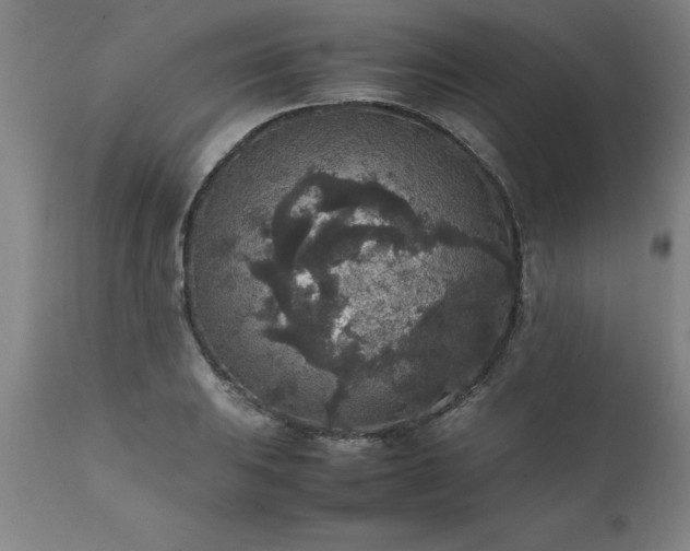 X0000111811031200907301228