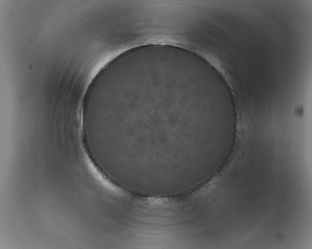 X0000111811032200907301228