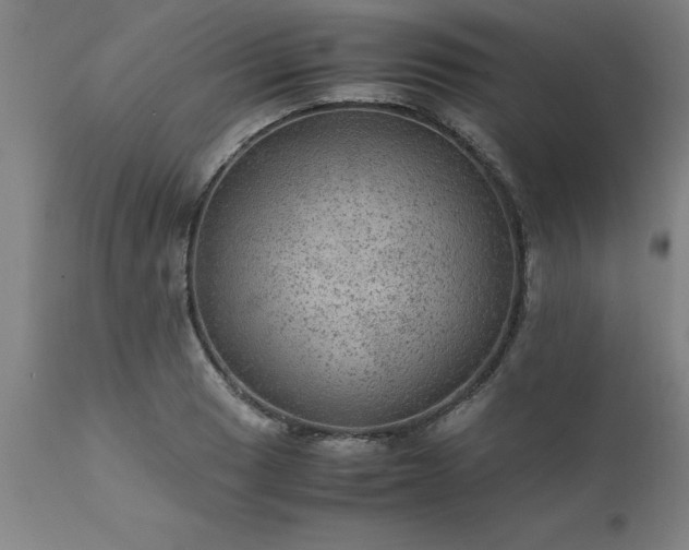 X0000111811033200907301228