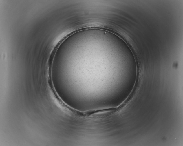 X0000111811034200907301228