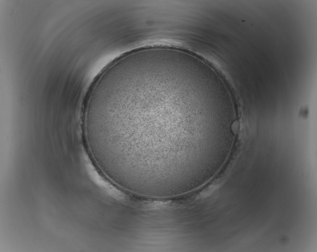 X0000111811038200907301228