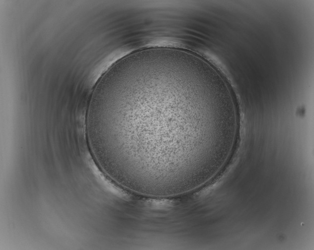X0000111811041200907301228