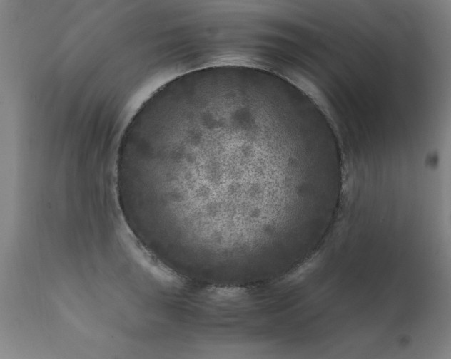 X0000111811043200907301228