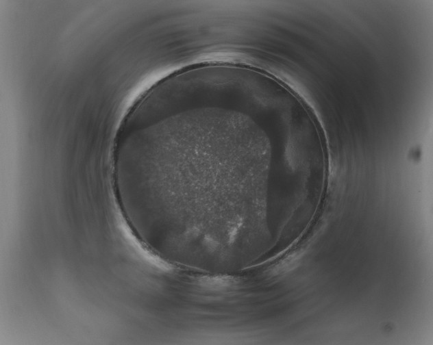 X0000111811045200907301228
