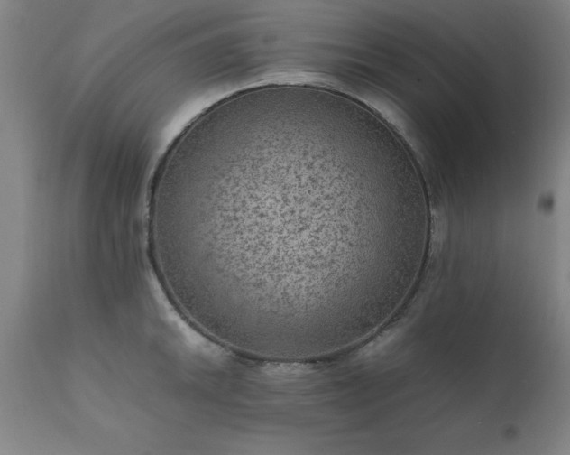X0000111811046200907301228