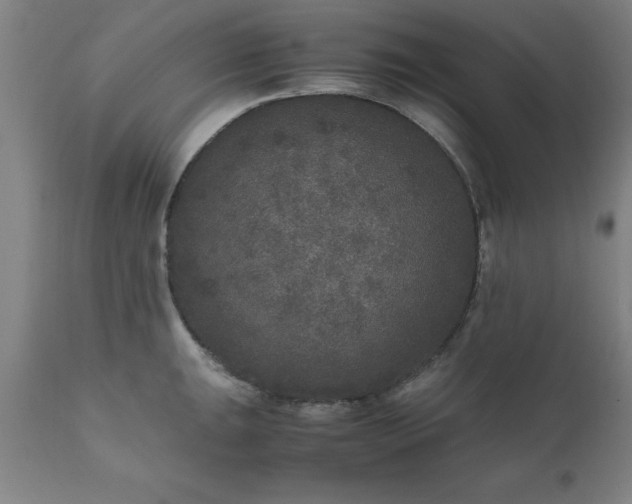 X0000111811047200907301228