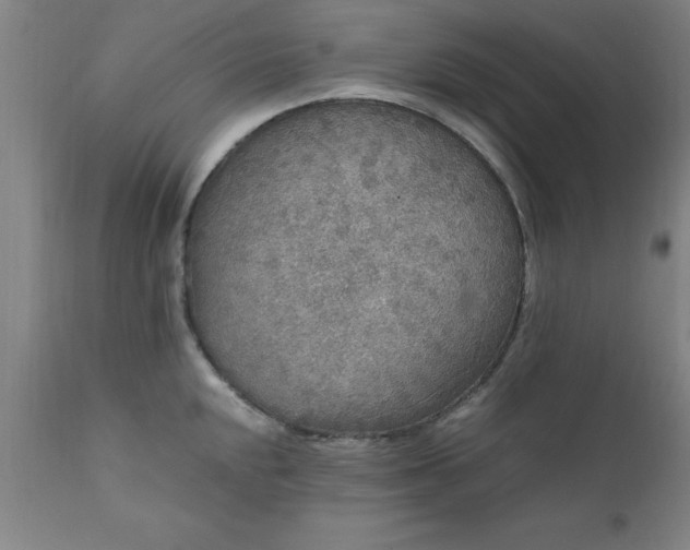 X0000111811048200907301228