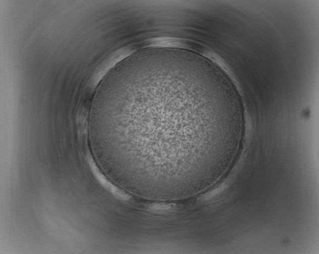 X0000111811049200907301228