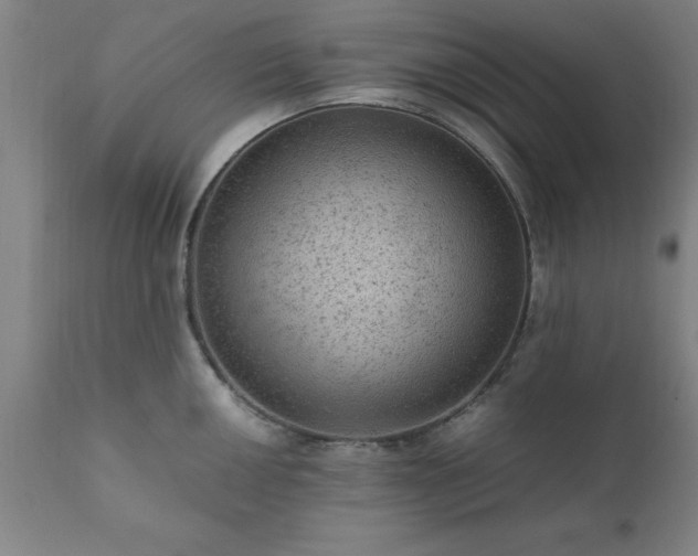 X0000111811050200907301228