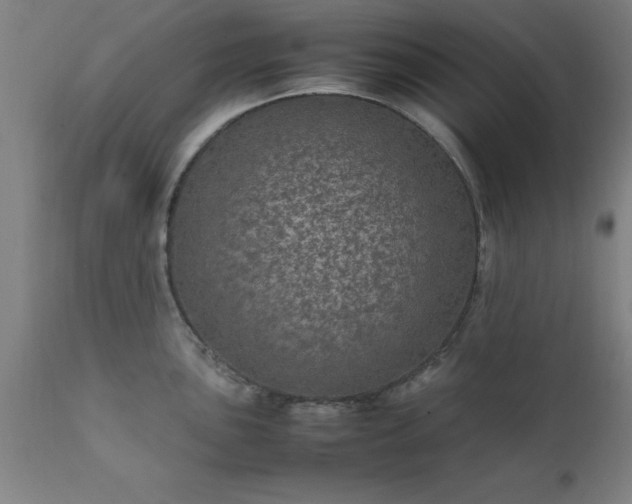X0000111811051200907301228