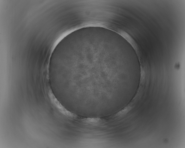 X0000111811052200907301228