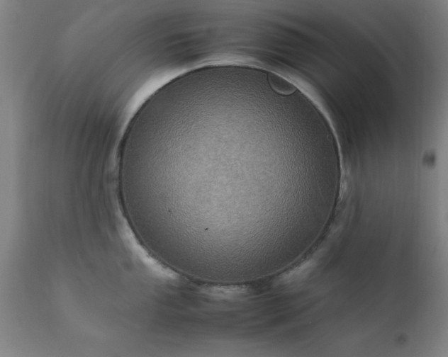 X0000111811053200907301228