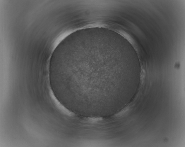 X0000111811055200907301228