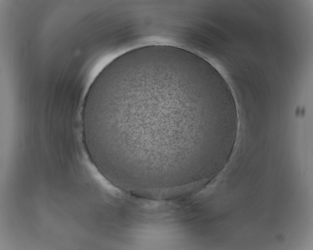 X0000111811056200907301228