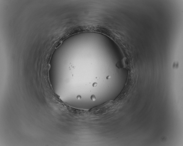 X0000111811057200907301228