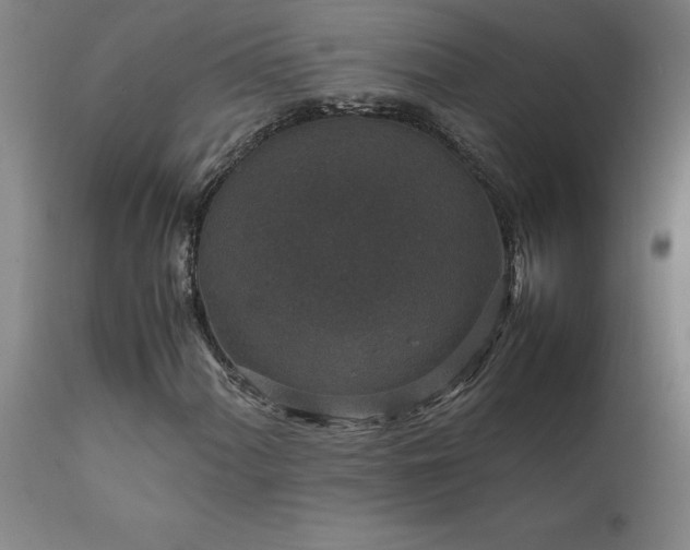 X0000111811060200907301228