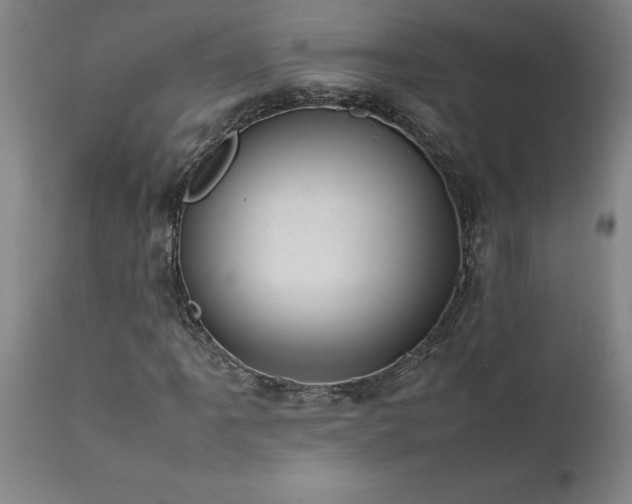 X0000111811061200907301228