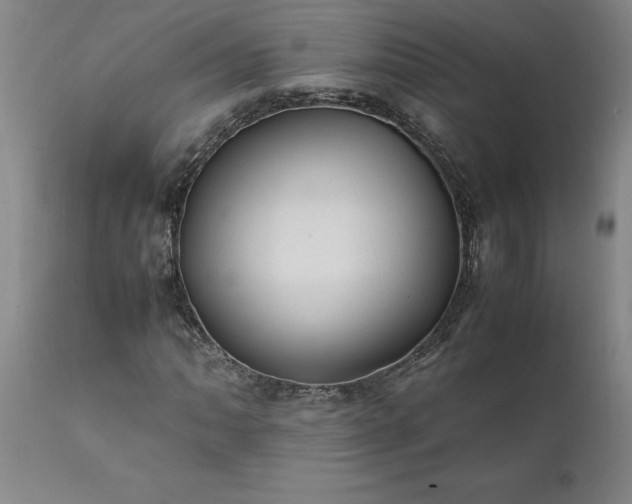 X0000111811062200907301228