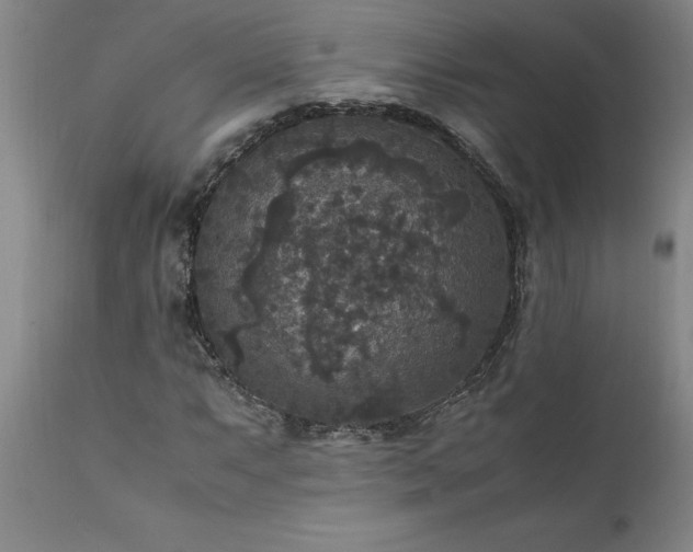 X0000111811063200907301228