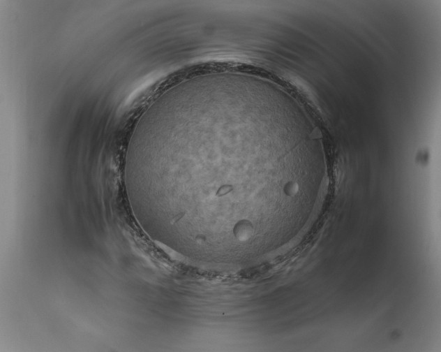 X0000111811064200907301228
