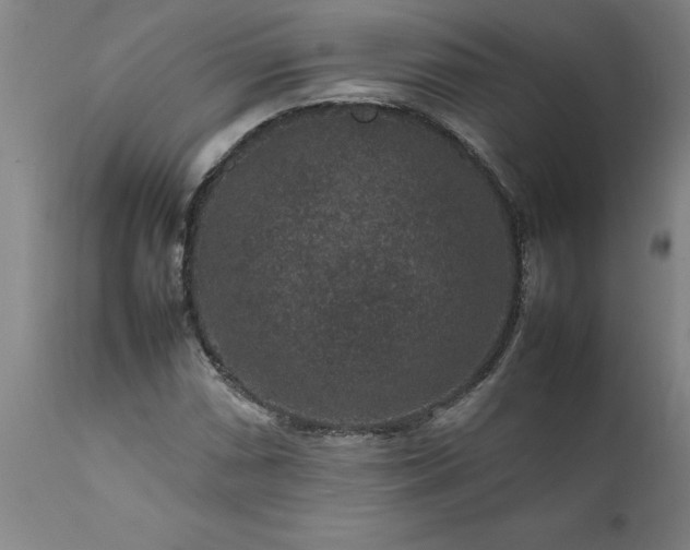 X0000111811066200907301228