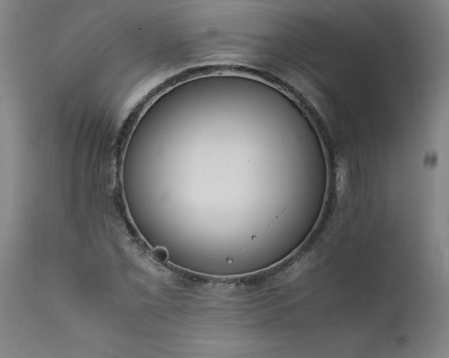 X0000111811069200907301228