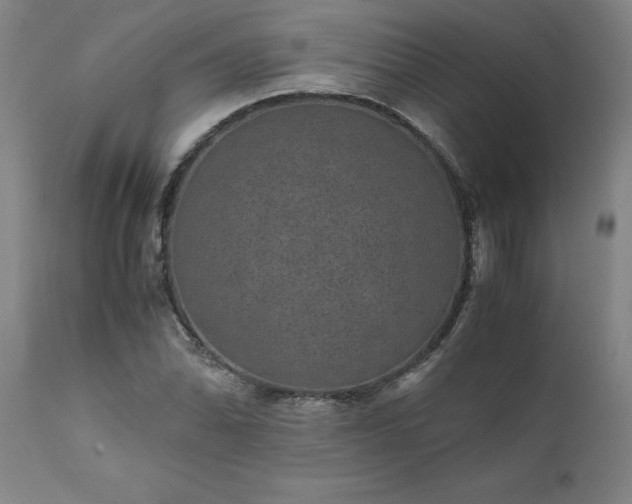 X0000111811070200907301228