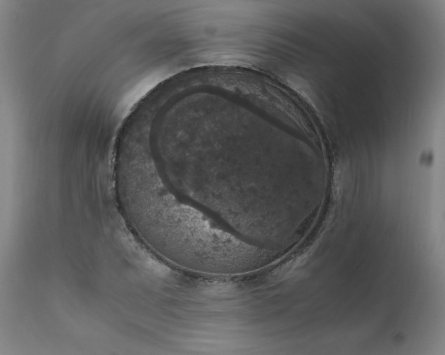 X0000111811071200907301228