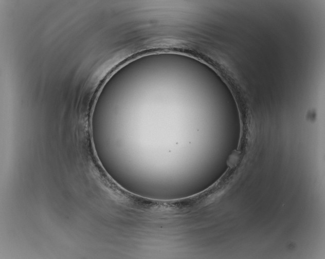 X0000111811073200907301228