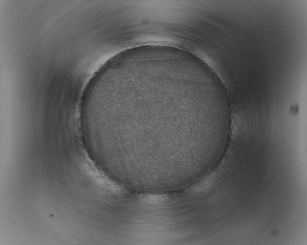 X0000111811074200907301228