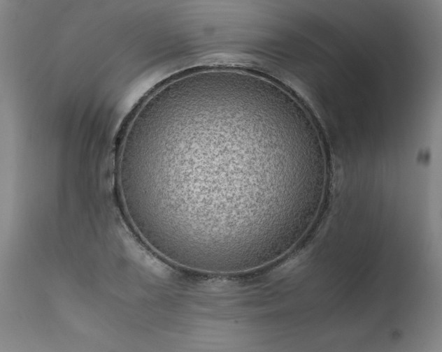 X0000111811075200907301228