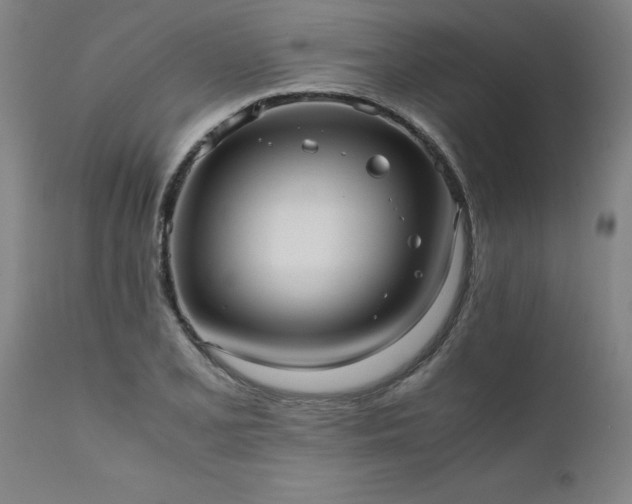 X0000111811077200907301227