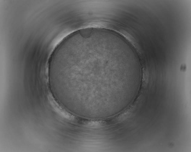 X0000111811078200907301227