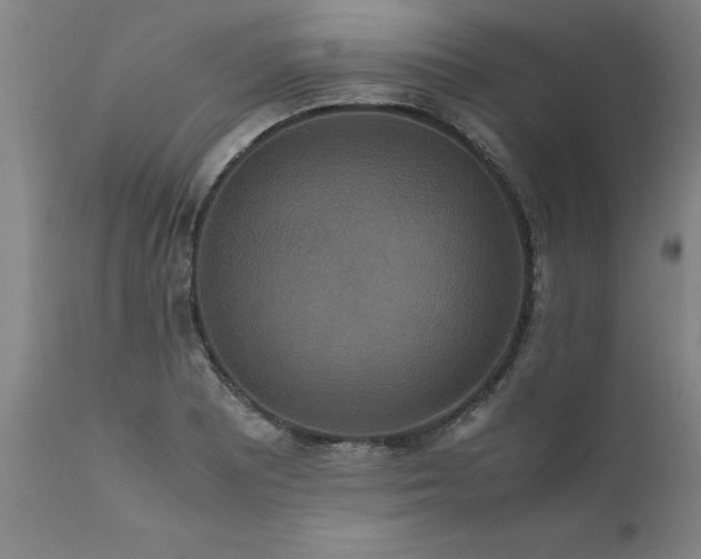 X0000111811081200907301227